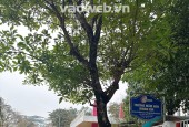 Cho thuê nhà hàng hiếm có khó tìm mặt phố Nguyênc Văn Lộc Mỗ Lao Hà Đông Hà Nội